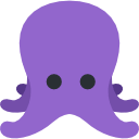 octopus